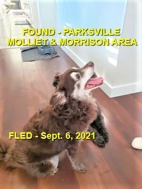 HAPPY ENDINGS - PARKSVILLE BC. - SEPT. 6, 2021