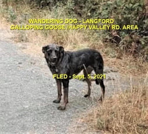 HAPPY ENDINGS - LANGFORD BC. - SEPT. 5, 2021