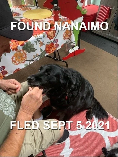 HAPPY ENDINGS - NANAIMO BC. - JUNO -  SEPT. 5, 2021