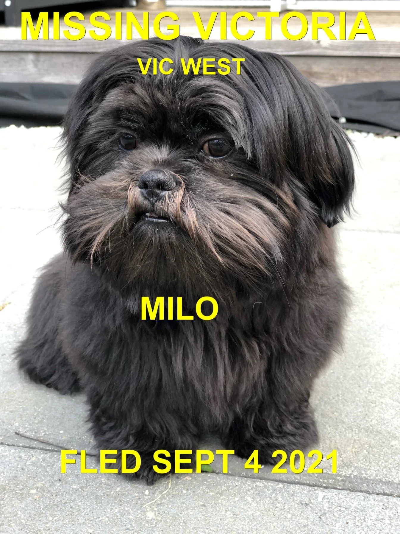 HAPPY ENDINGS - ESQUIMALT BC - MILO - SEPT. 4, 2021
