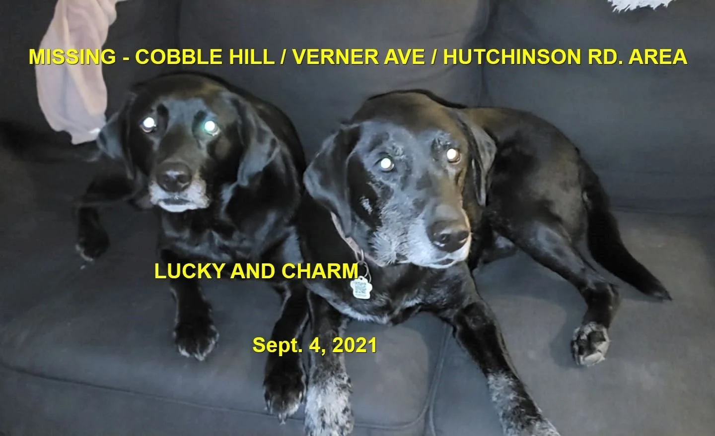 HAPPY ENDINGS - COBBLE HILL BC. - LUCKY &amp; CHARM - SEPT. 4, 2021