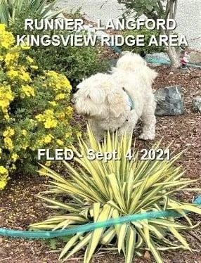 HAPPY ENDINGS - LANGFORD BC. - MOLLY - SEPT. 4, 2021