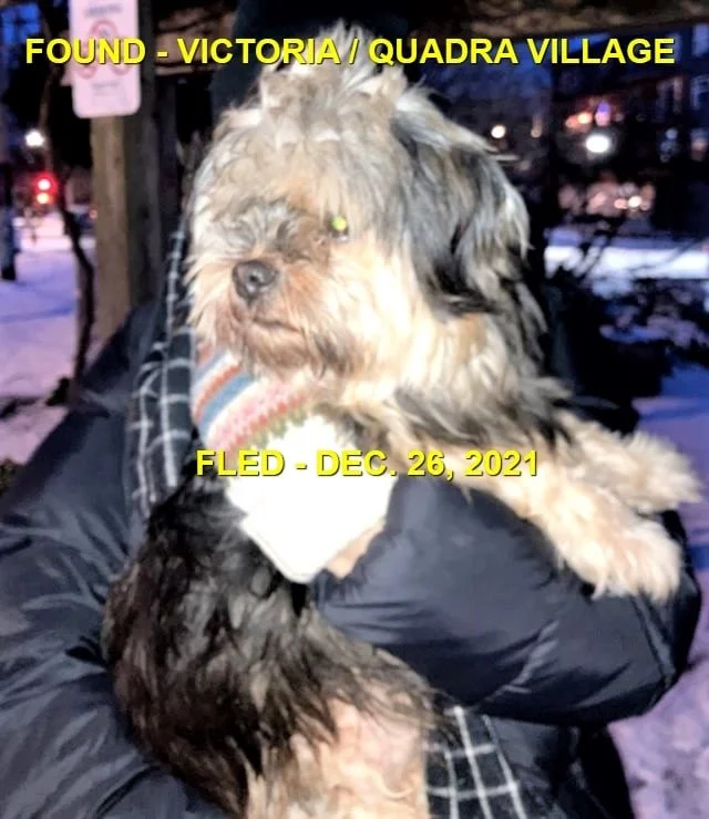 HAPPY ENDINGS - VICTORIA BC. - DEC. 26, 2021