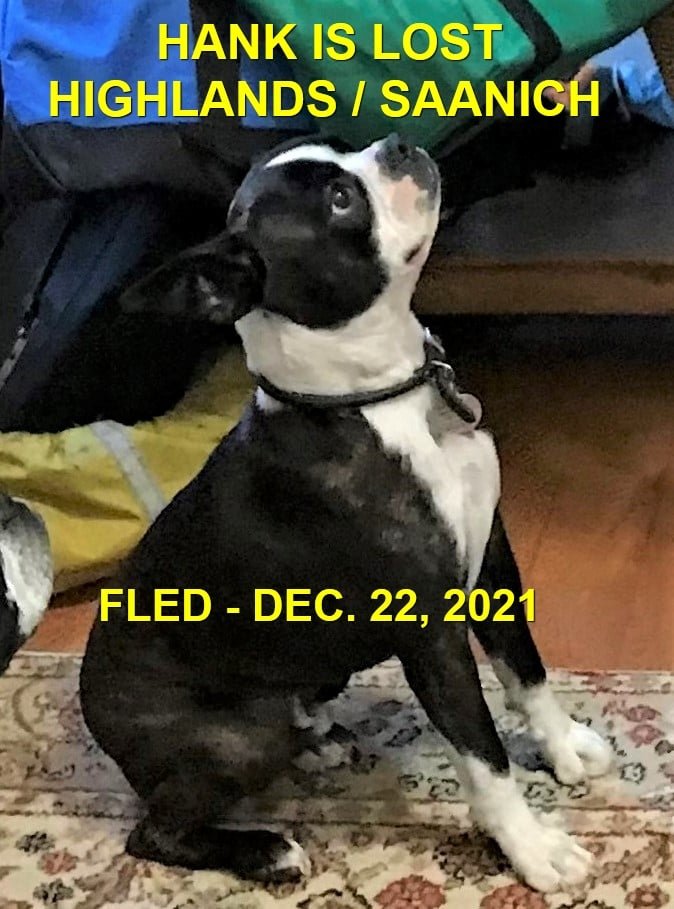 HAPPY ENDINGS - HIGHLANDS BC. - HANK - DEC. 22, 2021