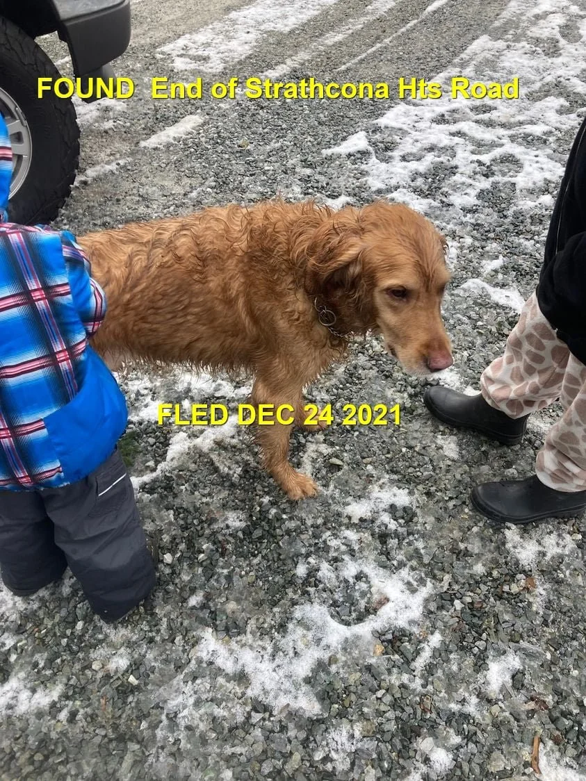 HAPPY ENDINGS - SHAWNIGAN LAKE BC. - MARTY - DEC 24, 2021