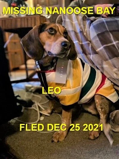 HAPPY ENDINGS (MINUS HIS COAT) - NANOOSE BAY BC. - LEO - DEC. 25, 2021