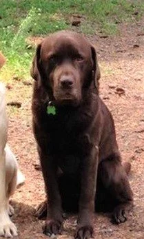 HAPPY ENDINGS - EAST HIGHLANDS BC. - DOUGALL - DEC. 26, 2021