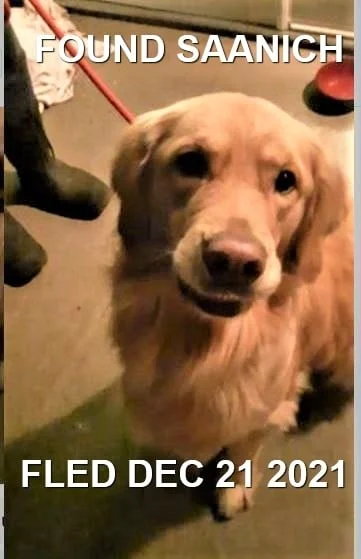 HAPPY ENDINGS - VICTORIA BC. - DEC. 21, 2021