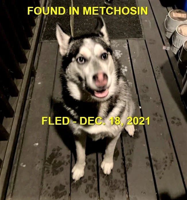 HAPPY ENDINGS - METCHOSIN BC. - DEC. 18, 2021