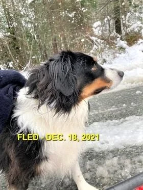 HAPPY ENDINGS - NANAIMO BC. - DEC. 18, 2021