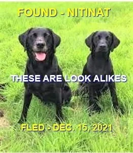 HAPPY ENDINGS - NITNAT BC. - DEC. 14, 2021