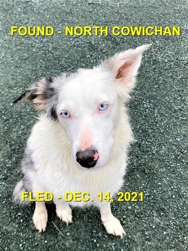 HAPPY ENDINGS - N. COWICHAN BC. - DEC. 15, 2021