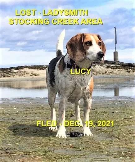 HAPPY ENDINGS - LADYSMITH BC. - LUCY - DEC. 19, 2021