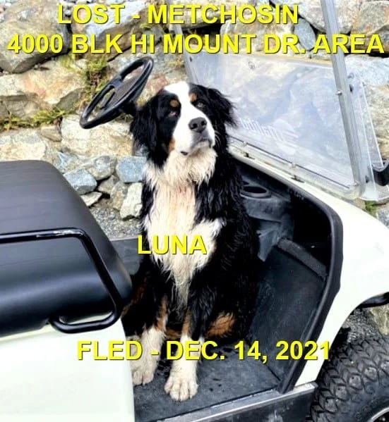 HAPPY ENDINGS - METCHOSIN BC. - LUNA - DEC. 14, 2021