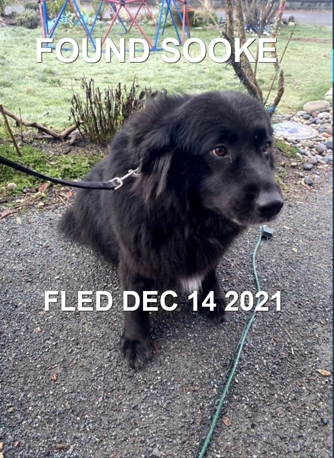 HAPPY ENDINGS - SOOKE BC. - DEC. 14, 2021