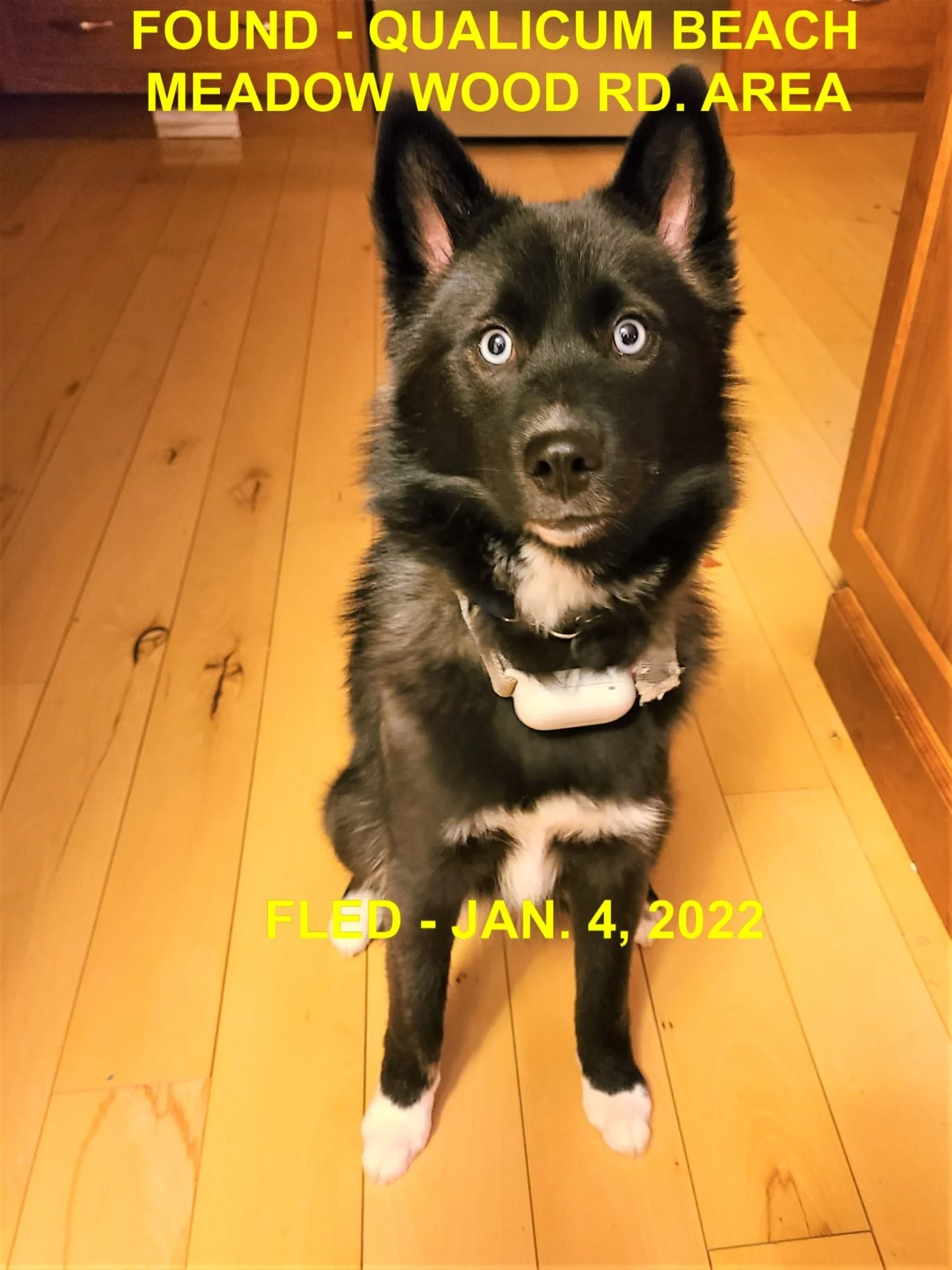 HAPPY ENDINGS - QUALICUM BEACH BC. / JAN. 4, 2022