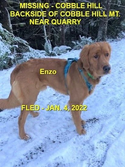 HAPPY ENDINGS - COBBLE HILL BC. / ENZ0 / JAN.4, 2022