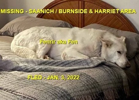 HAPPY ENDINGS - SAANICH BC. / FEN / JAN 3, 2022