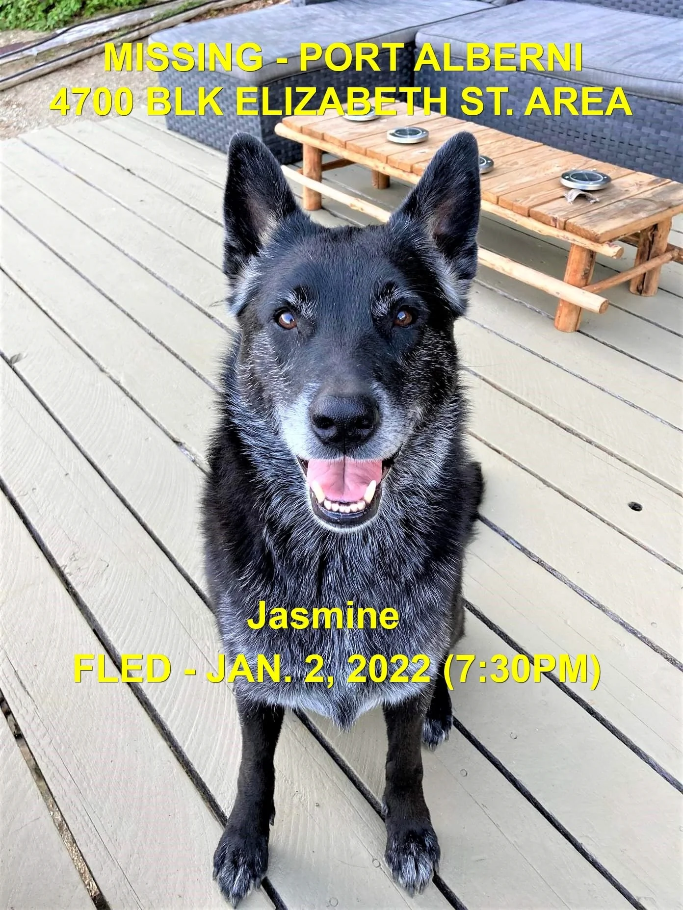 HAPPY ENDINGS - PORT ALBERNI BC. / JASMINE / JAN. 2, 2022