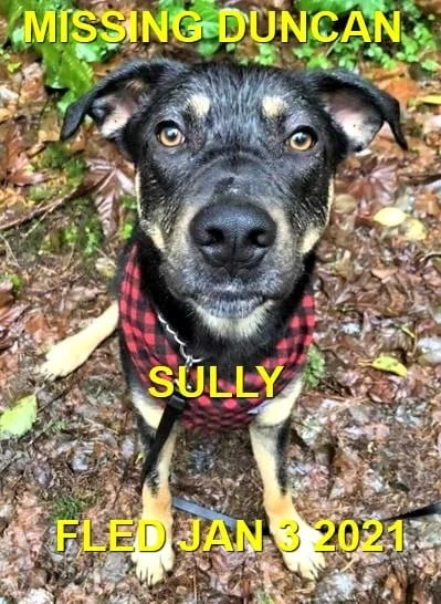 HAPPY ENDINGS - CROFTON BC. / SULLY / JAN. 3, 2022