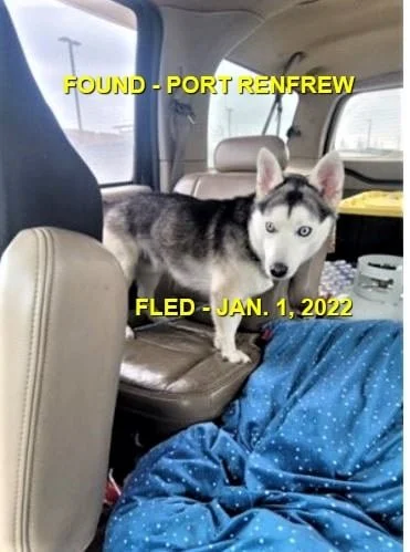 HAPPY ENDINGS - JORDAN RIVER BC. / JAN 1, 2022