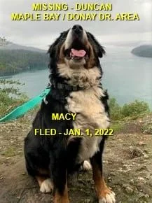 HAPPY ENDINGS - DUNCAN (MAPLE BAY BC) / MACY / JAN 1, 2022
