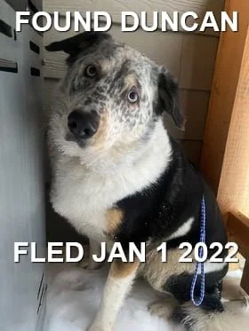 HAPPY ENDINGS - DUNCAN BC. / JAN. 1, 2022