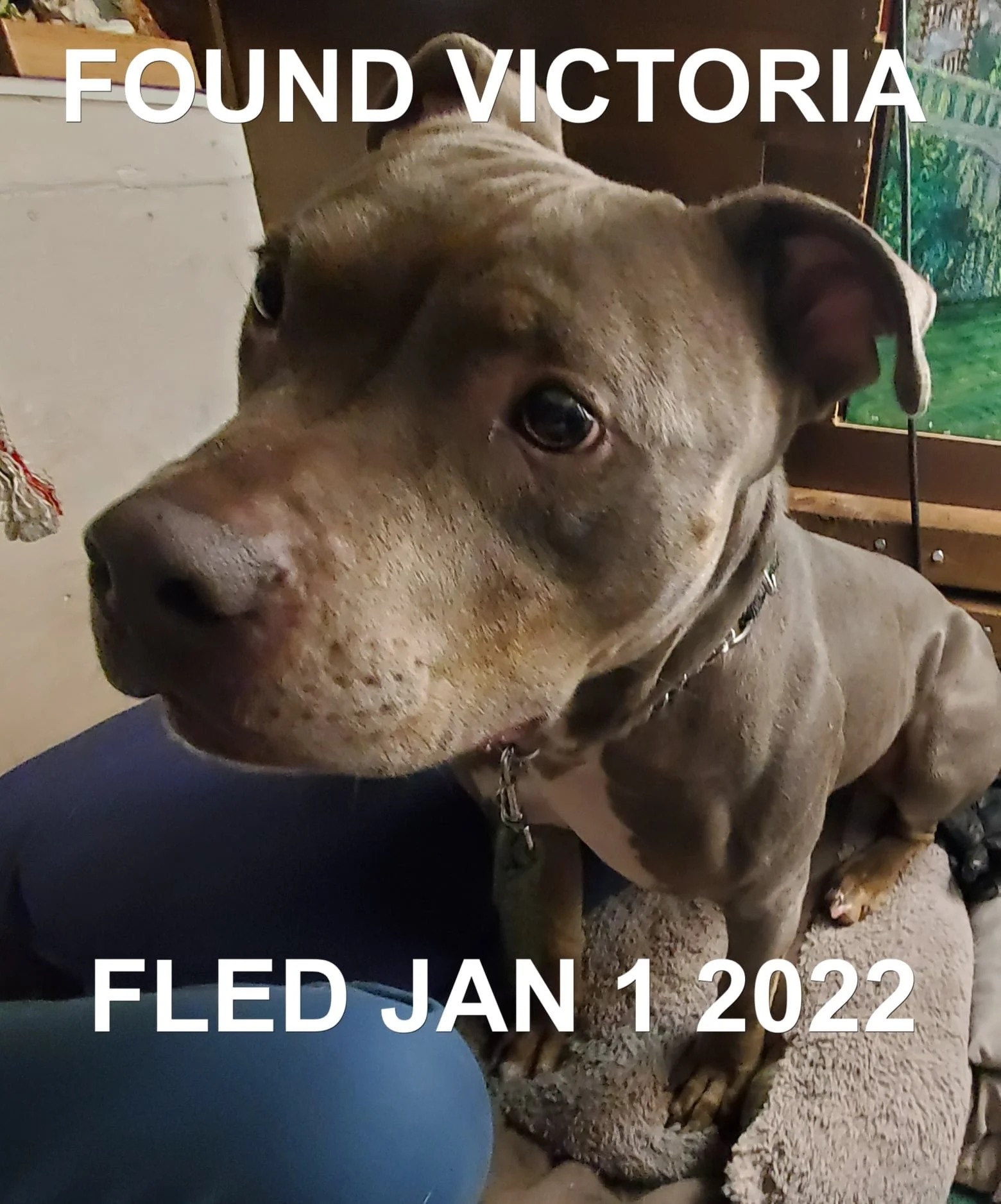 HAPPY ENDINGS - VICTORIA BC. / ACE / JAN. 1, 2022