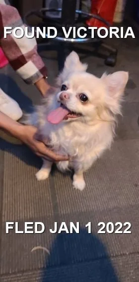 HAPPY ENDINGS - VICTORIA, BC. / JAN. 1, 2022