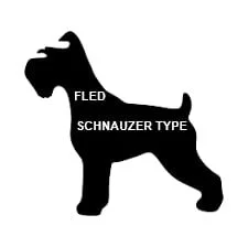 HAPPY ENDINGS - VICTORIA BC. / DEC. 30, 2021