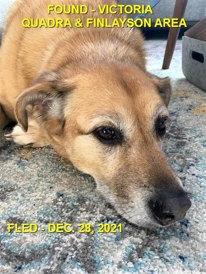 HAPPY ENDINGS - VICTORIA BC. / DEC. 28, 2021