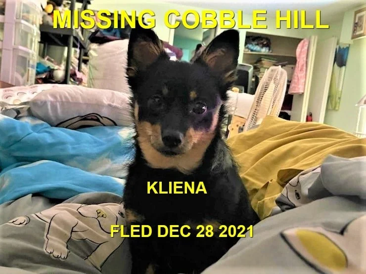 HAPPY ENDINGS - COBBLE HILL BC. / KLIENA  / DEC. 28, 2021