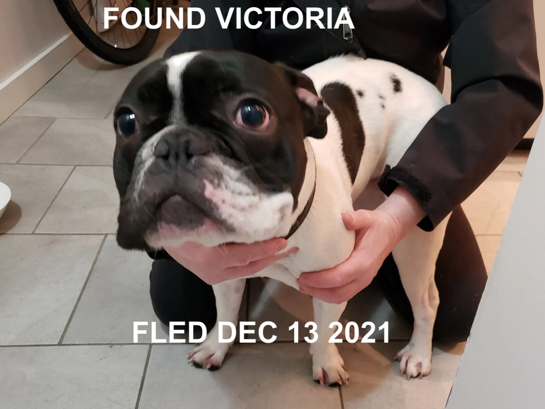 HAPPY ENDINGS - VICTORIA BC. / DEC. 13, 2021