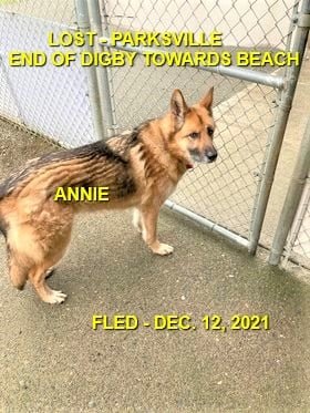 HAPPY ENDINGS - PARKSVILLE BC. / ANNIE / DEC. 12, 2021