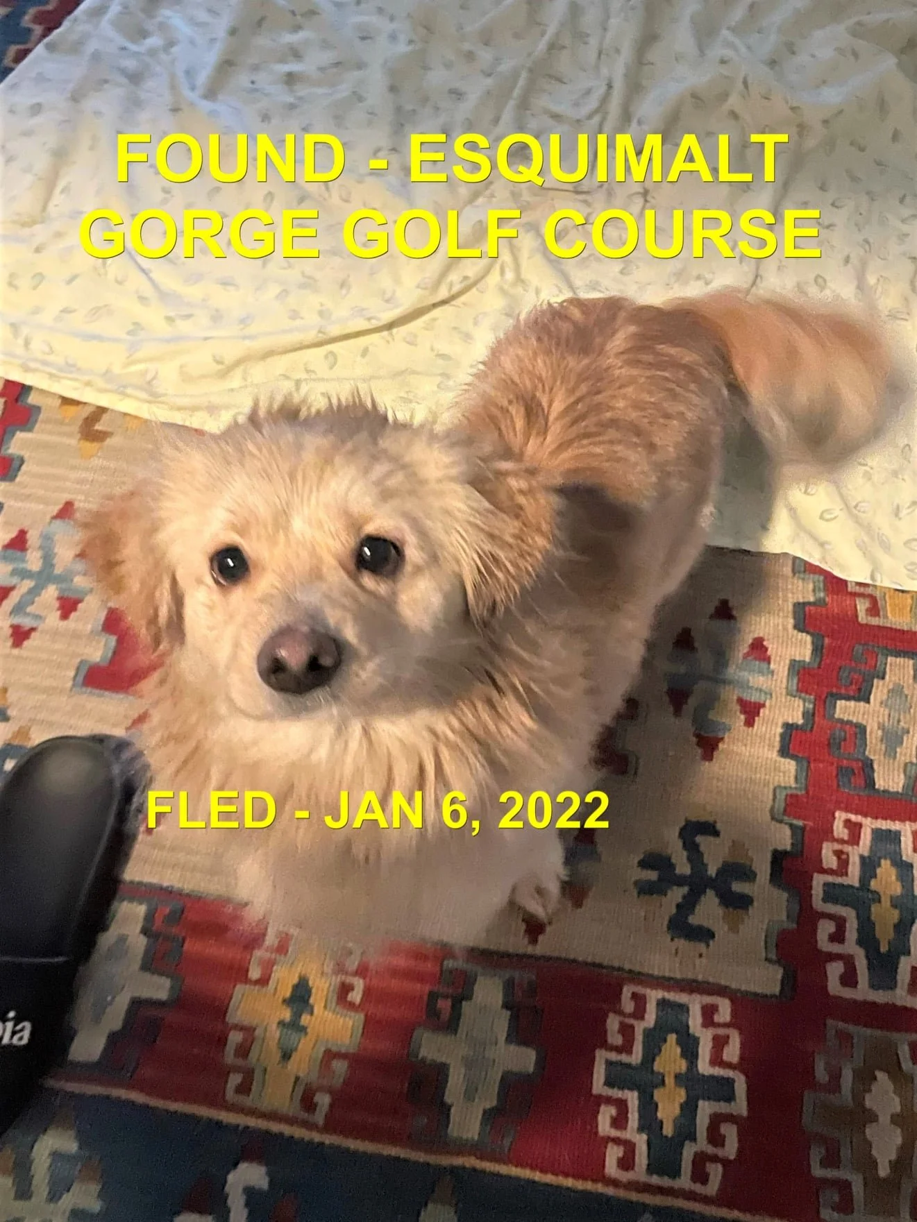 GOING TO RESCUE - ESQUIMALT BC. / MAX / JAN. 5, 2022