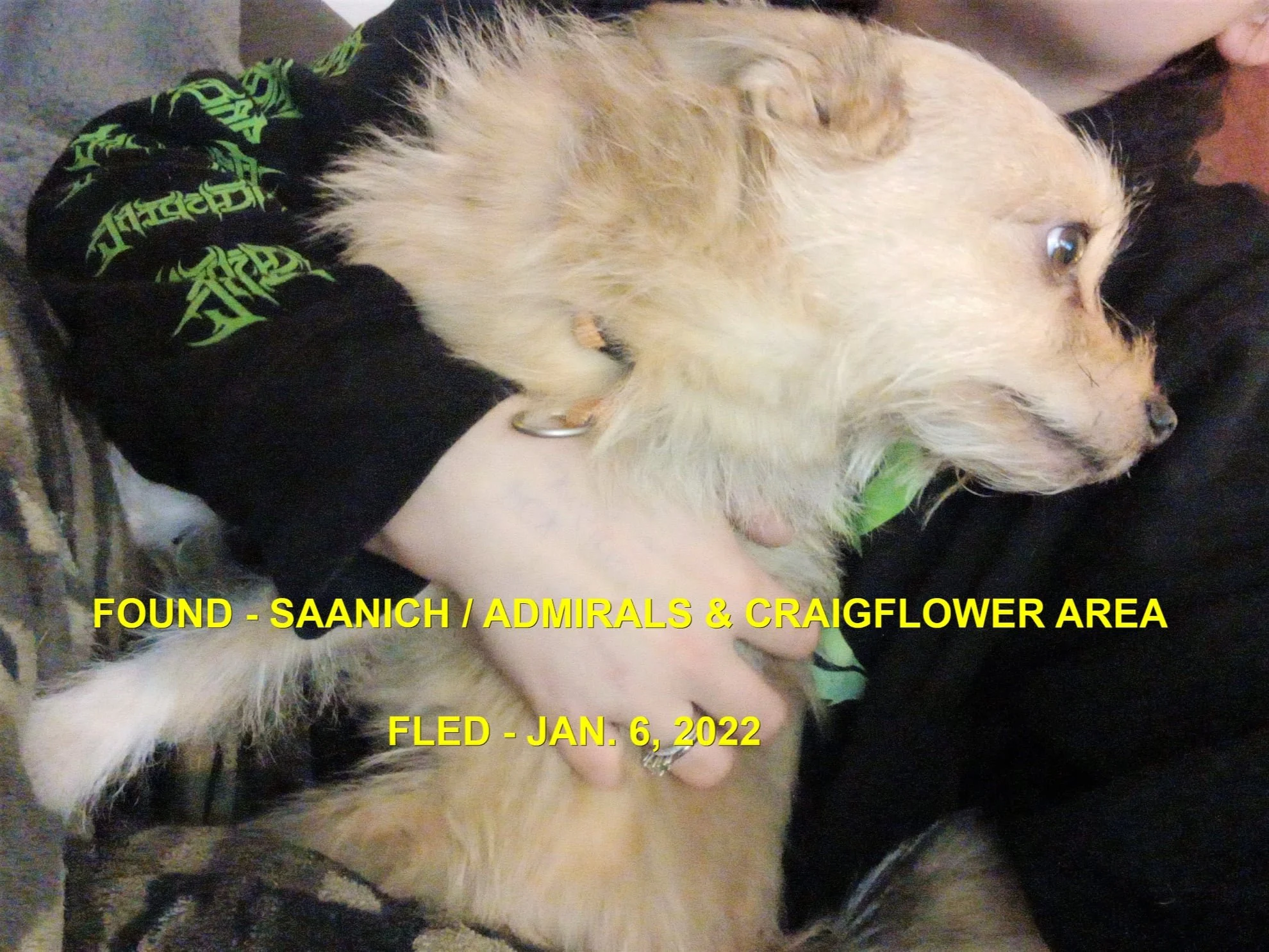 HAPPY ENDINGS - SAANICH BC / JAN. 6, 2022