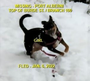 HAPPY ENDINGS - PORT ALBERNI BC. / GIRL / JAN. 6, 2022