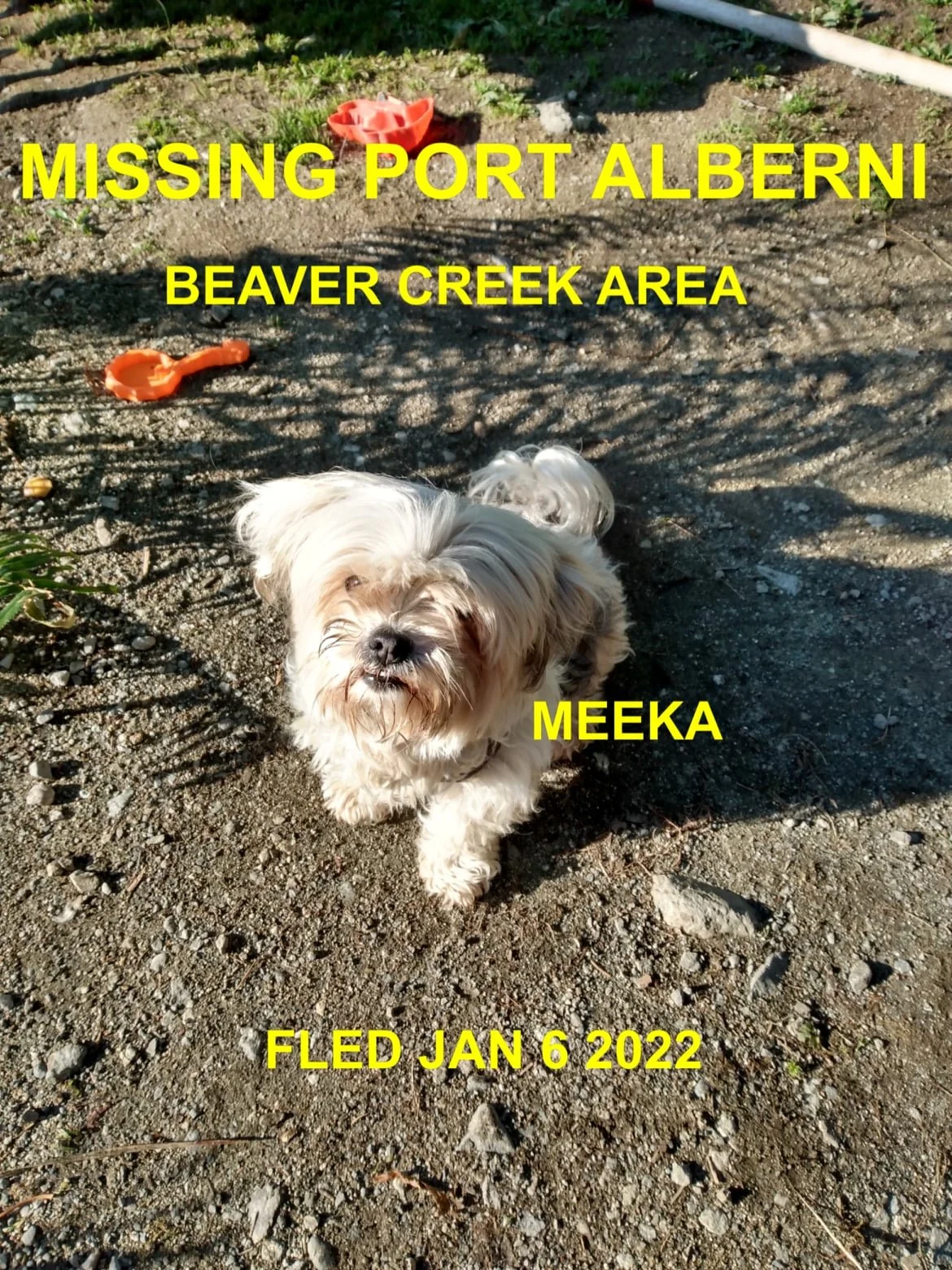 HAPPY ENDINGS - PORT ALBERNI BC. / MEEKA / JAN 6, 2022