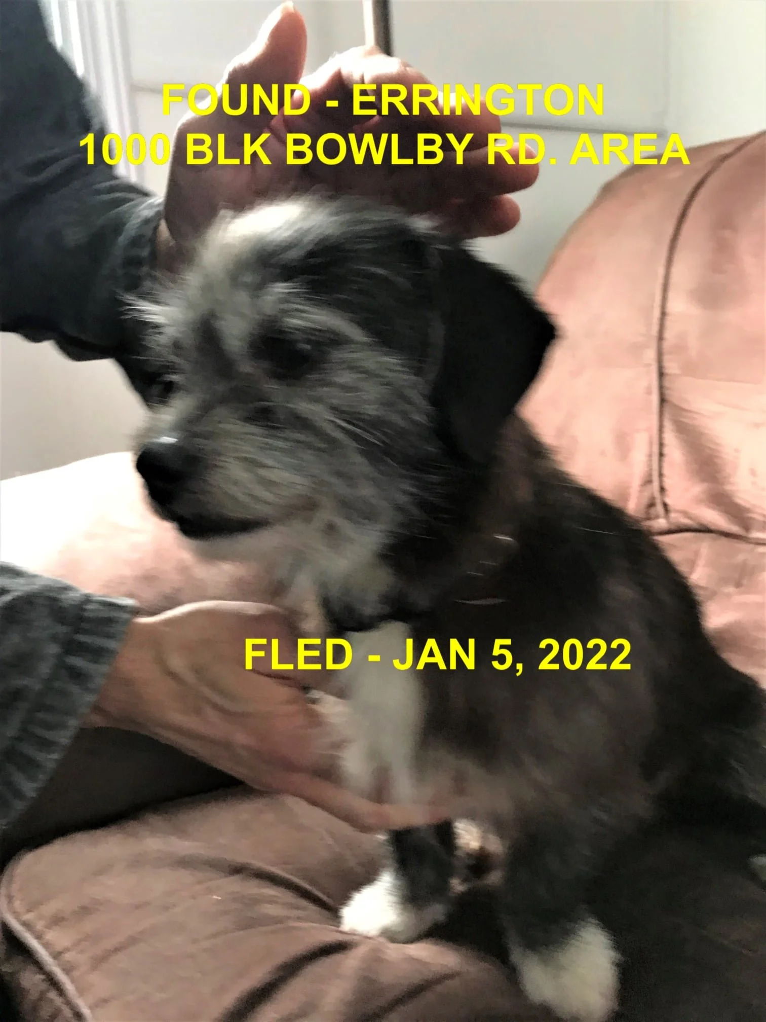 HAPPY ENDINGS - ERRINGTON BC. / JAN. 5, 2022