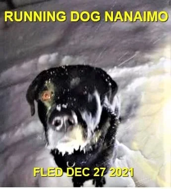 UNRESOLVED - NANAIMO BC. / DEC. 27, 2021