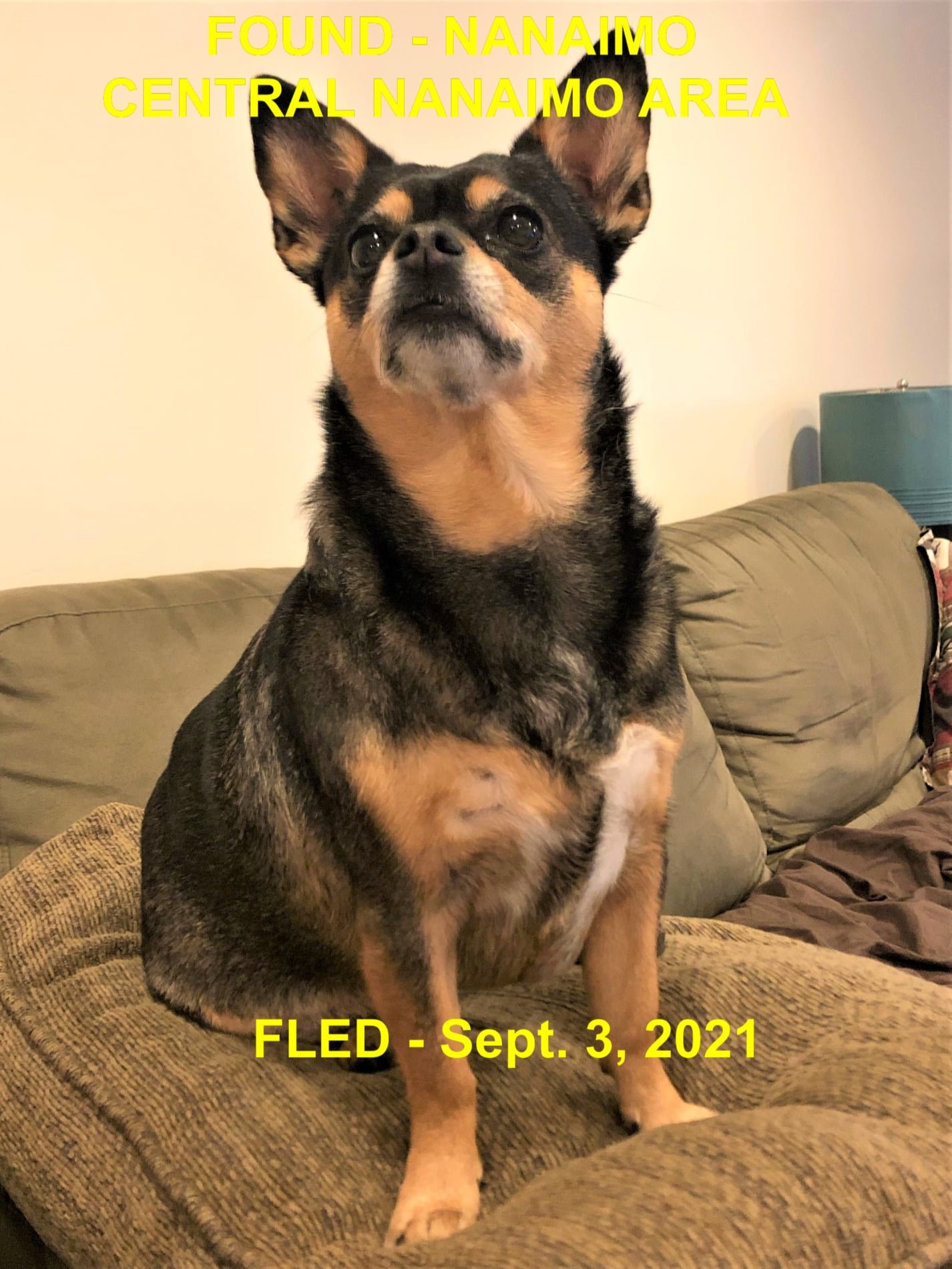 HAPPY ENDINGS - NANAIMO BC. / CHARLIE / SEPT. 3, 2021