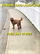 UNRESOLVED - LANGFORD BC - JAN. 15, 2022