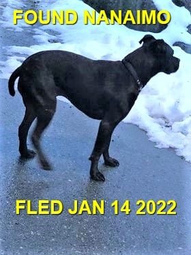 HAPPY ENDINGS - NANAIMO BC. - JAN. 14, 2022