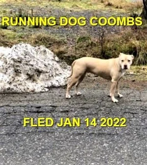 UNRESOLVED - COOMBS BC - JAN. 14, 2022