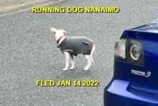 UNRESOLVED - NANAIMO BC. - JAN. 14, 2022