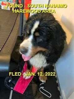 HAPPY ENDINGS - S. NANAIMO BC. - JAN. 12, 2022