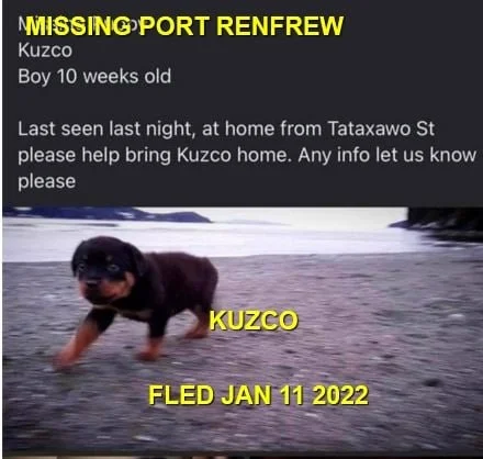 HAPPY ENDINGS - PORT RENFREW BC. - KUZCO - JAN 11, 2022
