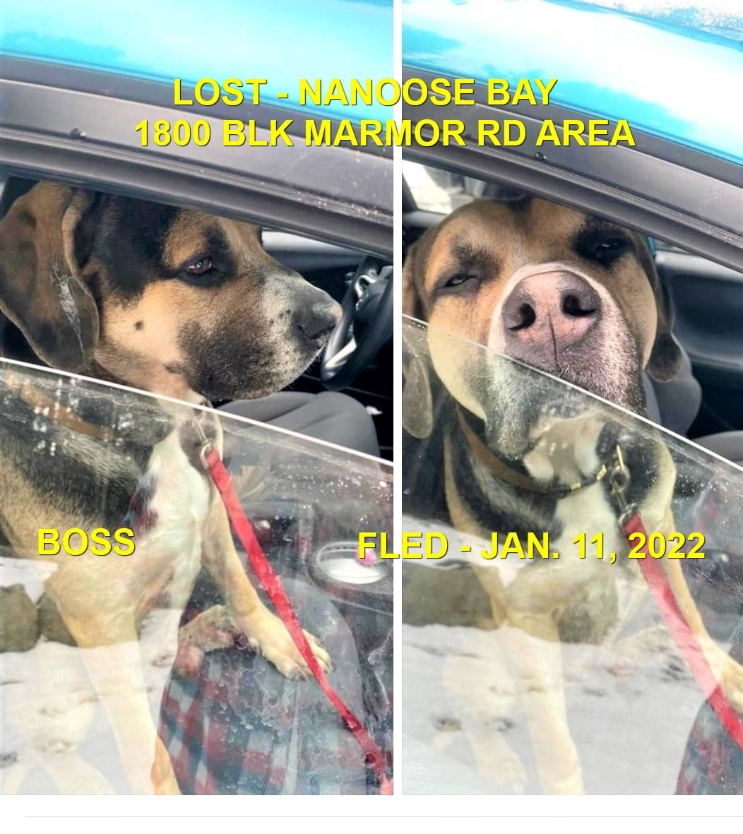 HAPPY ENDINGS - NANOOSE BAY BC. - BOSS - JAN 11, 2022