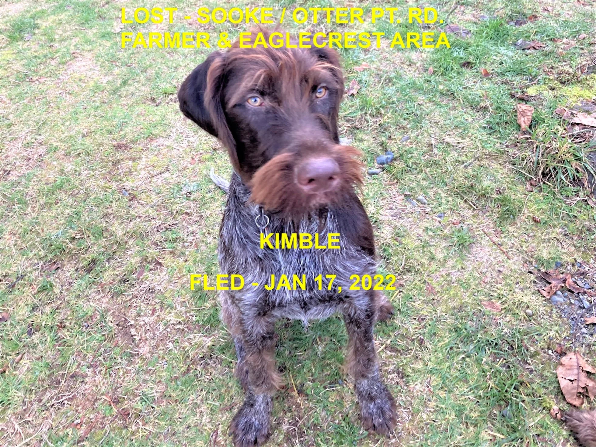 HAPPY ENDINGS - SOOKE BC. / KIMBLE / JAN 17, 2022