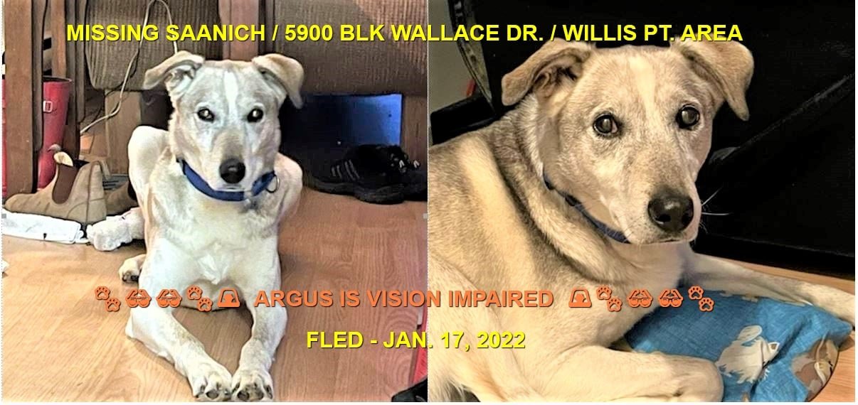 HAPPY ENDINGS - SAANICH BC. / ARGUS / JAN. 16, 2022